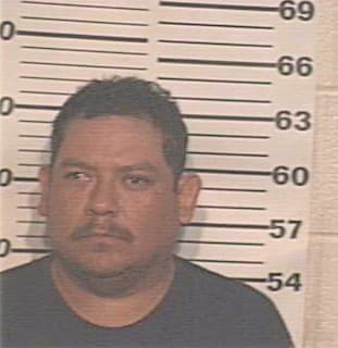 Almaraz Enrique - Hidalgo County, TX 