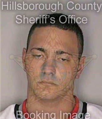 Medeiros Ryan - Hillsborough County, FL 