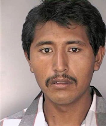 Mendoza Efrain - Hillsborough County, FL 