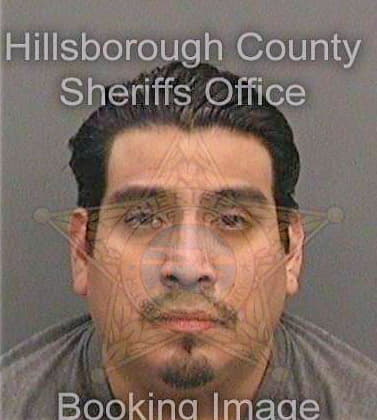 Espinoza Rene - Hillsborough County, FL 