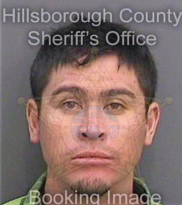 Guillen Andres - Hillsborough County, FL 