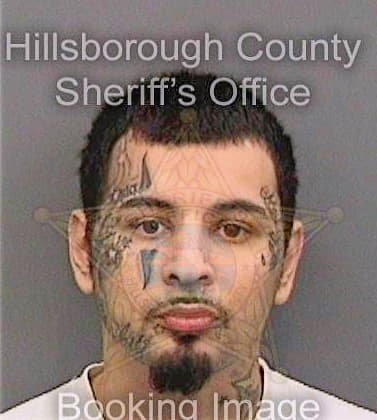 Seanz Victor - Hillsborough County, FL 