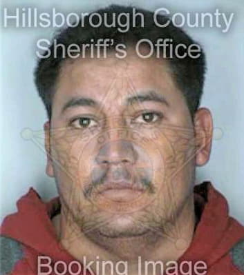 Hernandez Antonio - Hillsborough County, FL 
