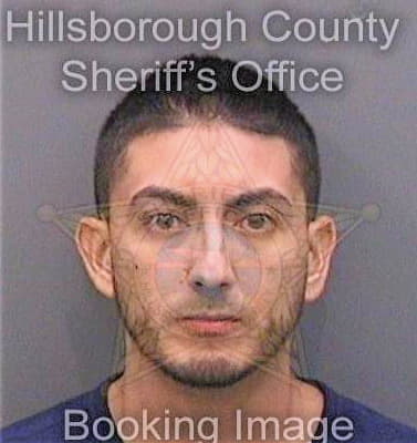 Torogomez Andres - Hillsborough County, FL 