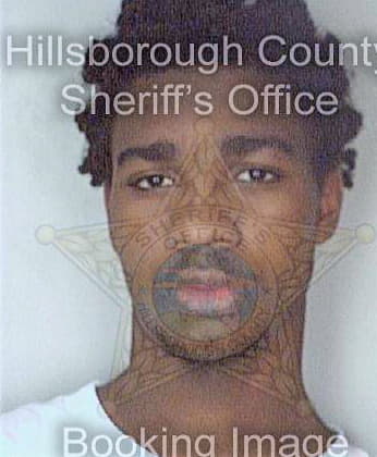 Mickens Matt - Hillsborough County, FL 