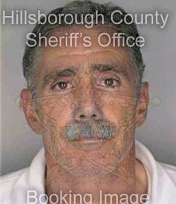 Piccirillo Anthony - Hillsborough County, FL 