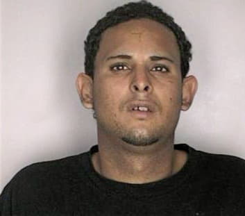 Ramireztorrez Raymond - Hillsborough County, FL 