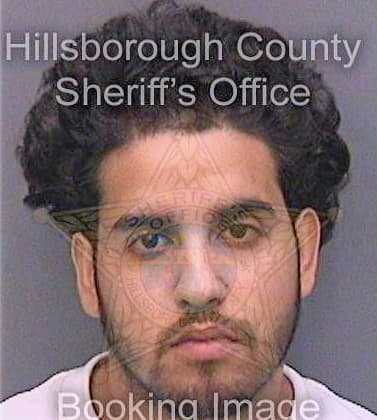 Garcia Alexander - Hillsborough County, FL 