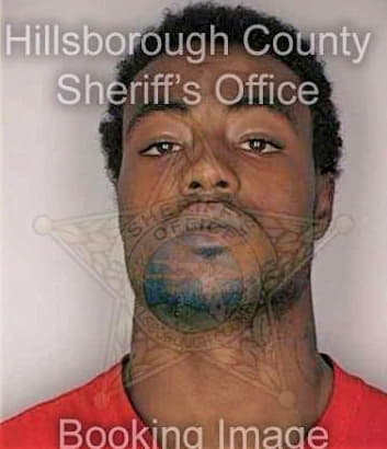 Singletary Marvin - Hillsborough County, FL 