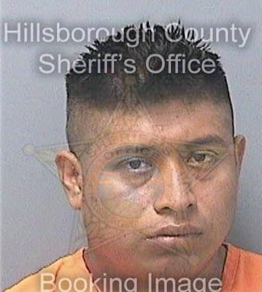 Cruzhernandez Luis - Hillsborough County, FL 