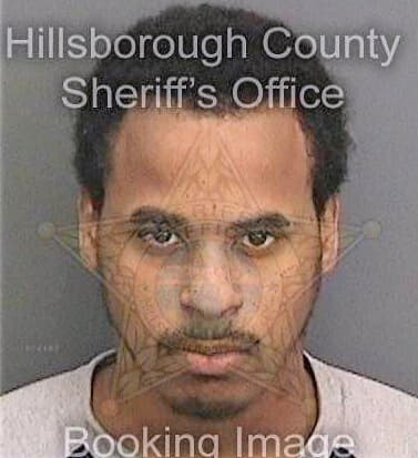 Watkins Maurice - Hillsborough County, FL 