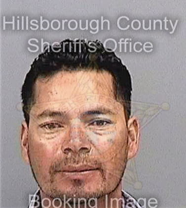 Sanchez Terencio - Hillsborough County, FL 