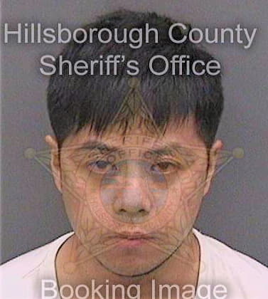 Feng Yu - Hillsborough County, FL 