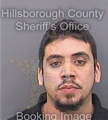 Jimenez Martin - Hillsborough County, FL 