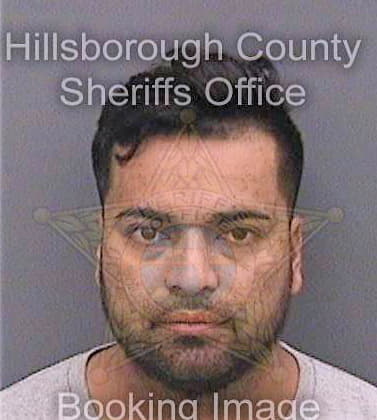 Hernandezgarcia Jonathan - Hillsborough County, FL 