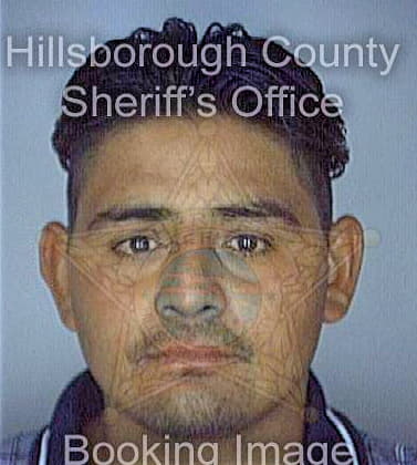 Vargas Juan - Hillsborough County, FL 