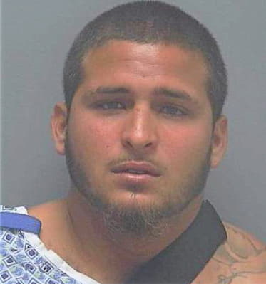 Vargas Wilfredo - Lee County, FL 