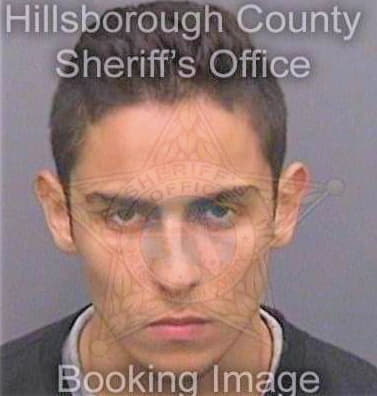 Mogollonduffo Andres - Hillsborough County, FL 