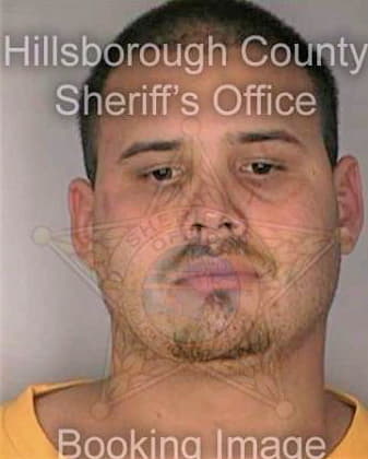 Ramirez Ceilio - Hillsborough County, FL 