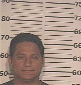 Morales Moises - Hidalgo County, TX 