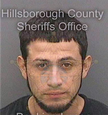 Castro Daniel - Hillsborough County, FL 