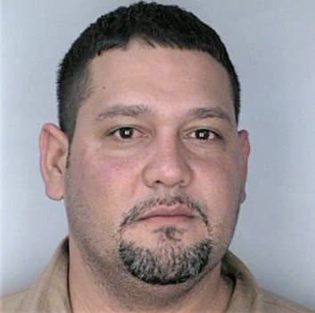 Fernandez Darvin - Hillsborough County, FL 