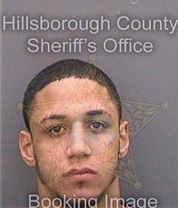 Cecchini Justin - Hillsborough County, FL 