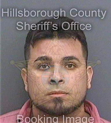 Gonzalez Eric - Hillsborough County, FL 