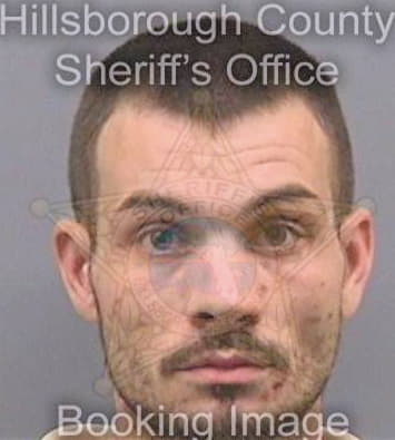Mcnally Mark - Hillsborough County, FL 