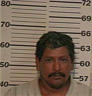 Diaz Raul - Hidalgo County, TX 