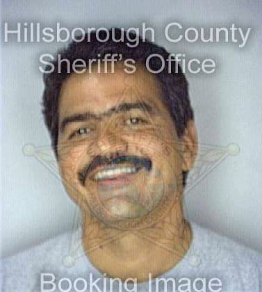 Santiago Luis - Hillsborough County, FL 