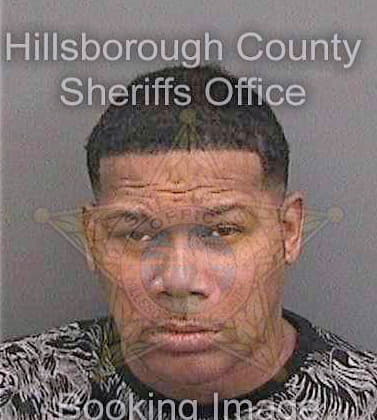 Chatman Charles - Hillsborough County, FL 