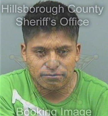 Perezhernandez Daniel - Hillsborough County, FL 