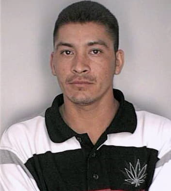 Menjivardominguez Jose - Hillsborough County, FL 