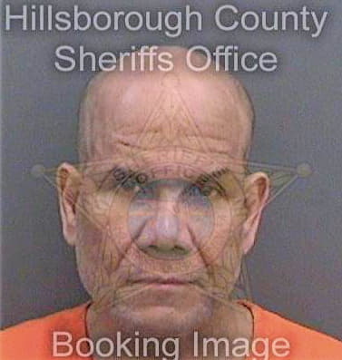 Felix David - Hillsborough County, FL 