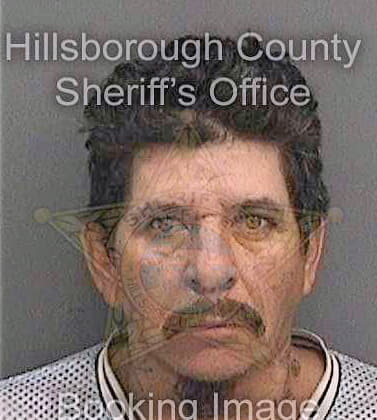 Castellano Julian - Hillsborough County, FL 