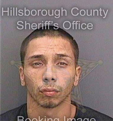 Dejesus Michael - Hillsborough County, FL 