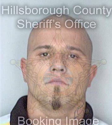 Faulk James - Hillsborough County, FL 