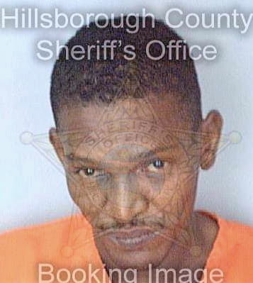 Ramos Nelson - Hillsborough County, FL 