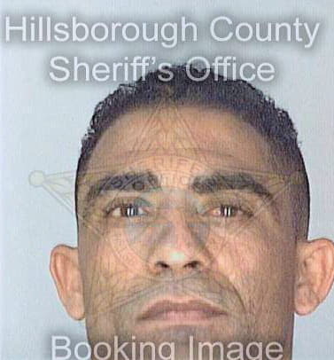 Fernandez Leonardo - Hillsborough County, FL 