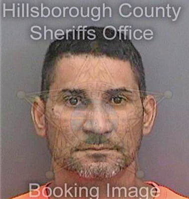 Jimenez Manuel - Hillsborough County, FL 