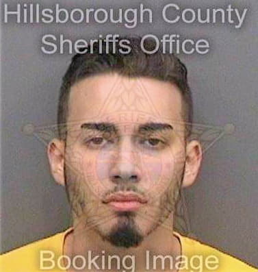 Gonzalezoliveras Arnaldo - Hillsborough County, FL 