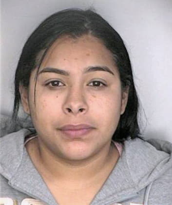 Garcia Denise - Hillsborough County, FL 