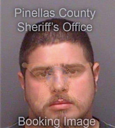 Mendez Nicholas - Pinellas County, FL 