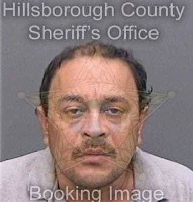 Lopez Obed - Hillsborough County, FL 