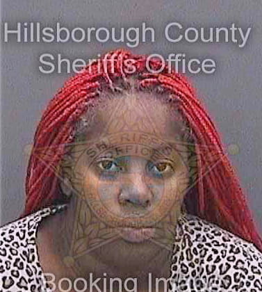 Gibson Tamika - Hillsborough County, FL 