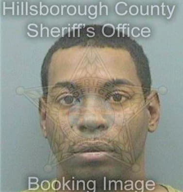 Johnson Demarcus - Hillsborough County, FL 