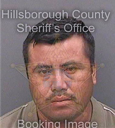 Mendezcano Isait - Hillsborough County, FL 