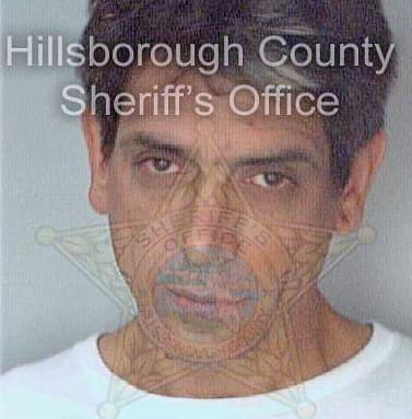 Garcia Jose - Hillsborough County, FL 