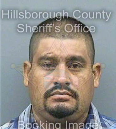 Martinez Noe - Hillsborough County, FL 